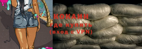 прущие грибы Аркадак