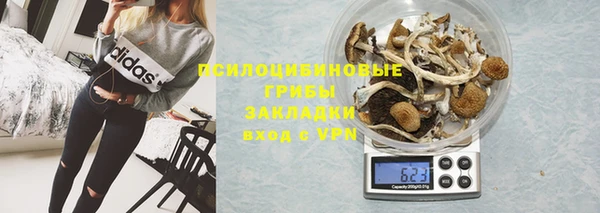 бошки Армянск