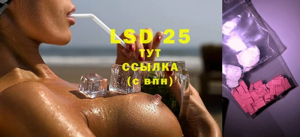 прущие грибы Аркадак