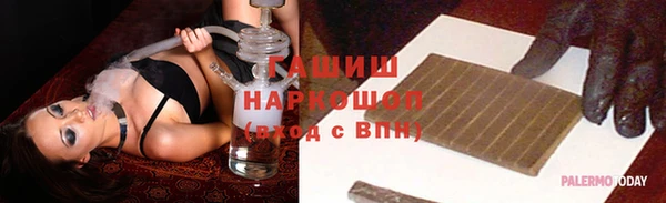 прущие грибы Аркадак