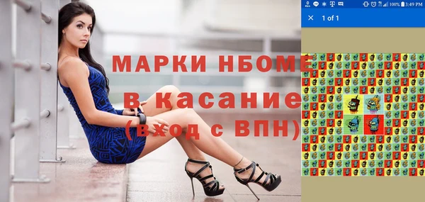 прущие грибы Аркадак