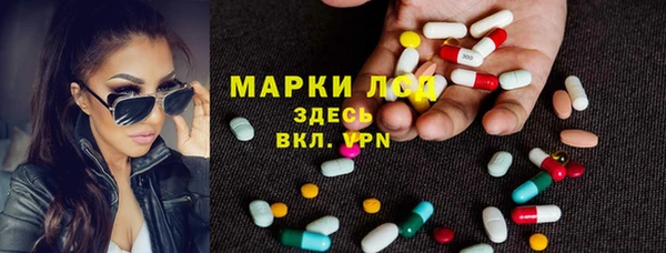 прущие грибы Аркадак