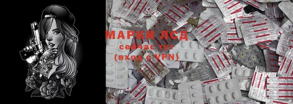 прущие грибы Аркадак