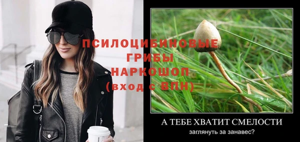 бошки Армянск