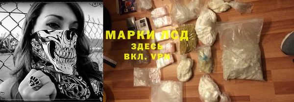 прущие грибы Аркадак