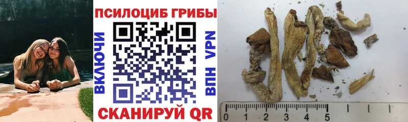 Галлюциногенные грибы Psilocybine cubensis  купить закладку  Байкальск 